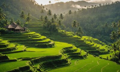 bali s natural beauty wonders