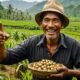 farmer discovers gold overnight